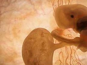 2026泰安助孕机构哪家好？做试管婴儿费用是多少？